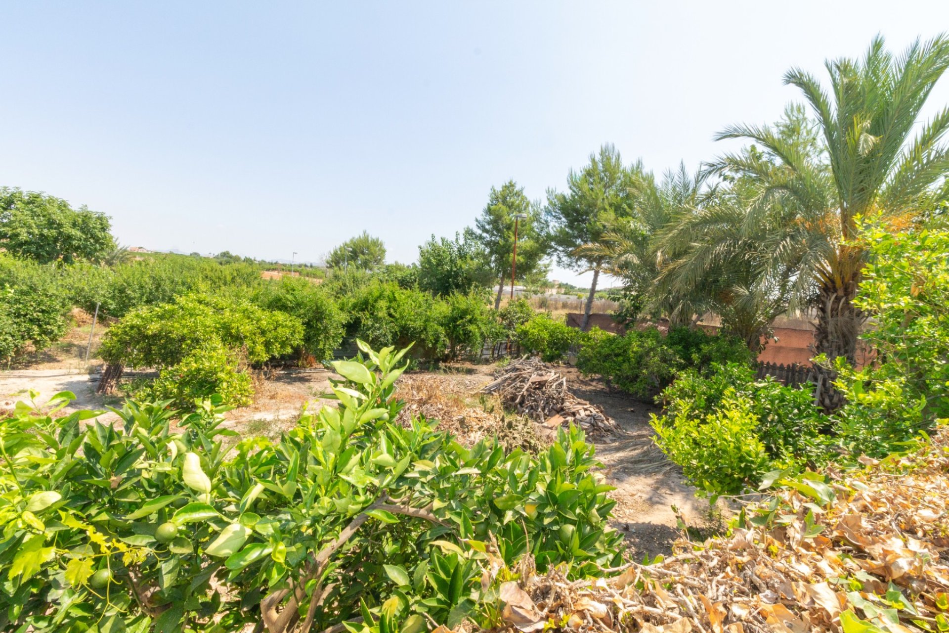 Resale - Villa - Alhama de Murcia - Fortuna