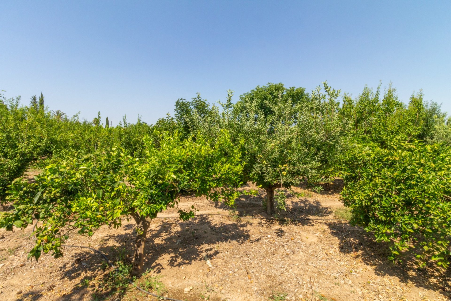 Resale - Villa - Alhama de Murcia - Fortuna