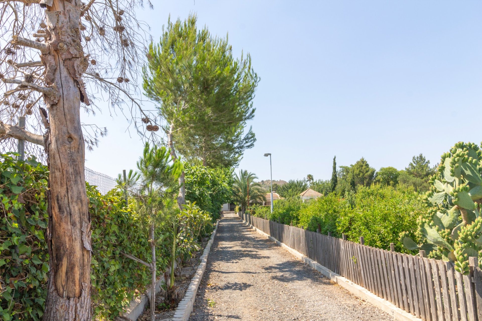 Resale - Villa - Alhama de Murcia - Fortuna