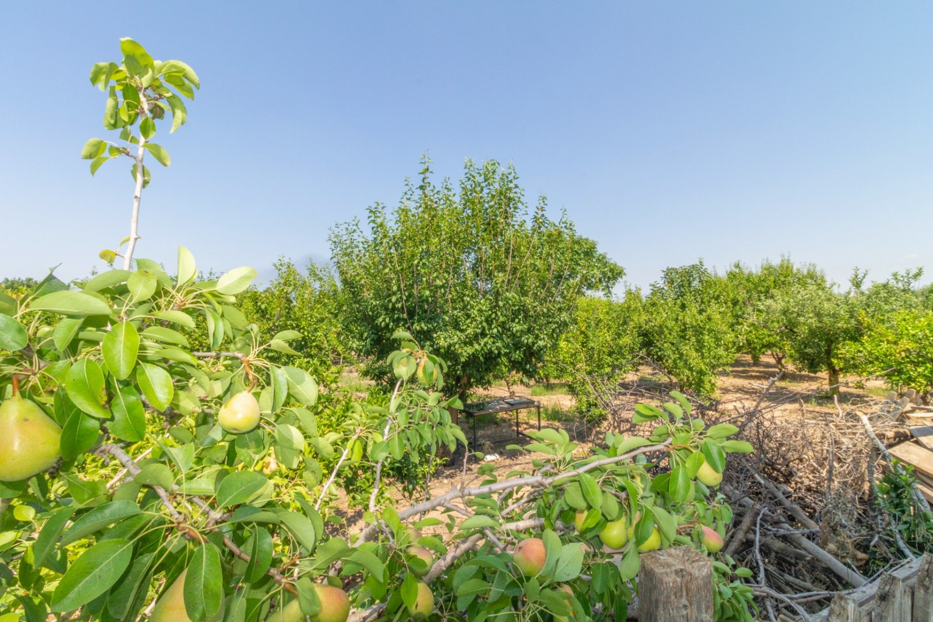 Reventa - Villa - Alhama de Murcia - Fortuna