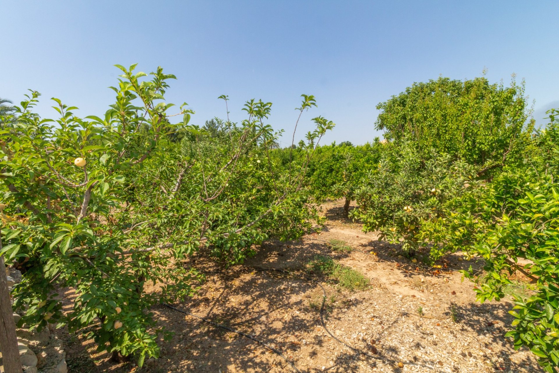 Reventa - Villa - Alhama de Murcia - Fortuna