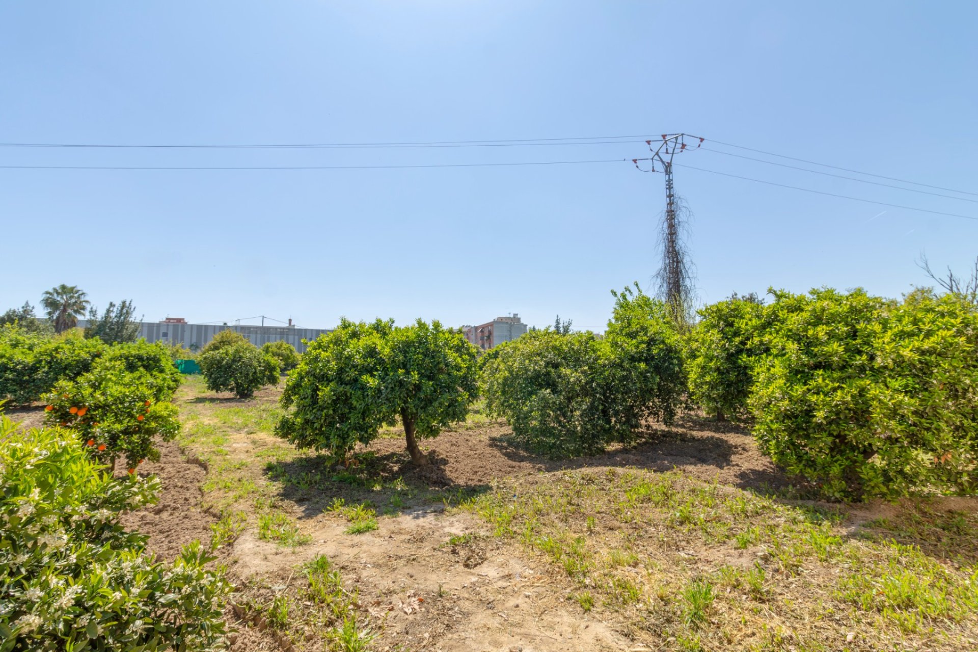 Reventa - Villa - Alhama de Murcia - Fortuna