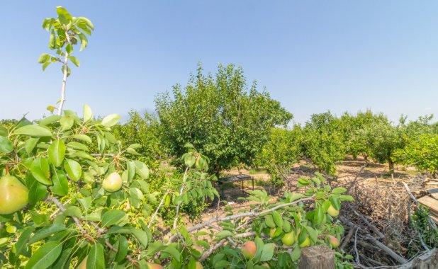 Resale - Villa - Los Alcazares