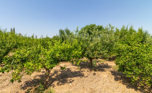 Resale - Villa - Los Alcazares