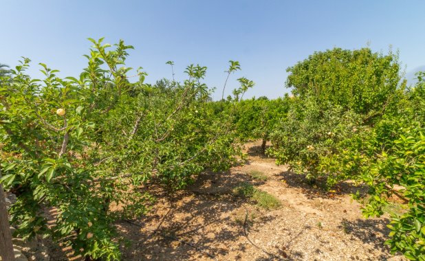 Resale - Villa - Los Alcazares