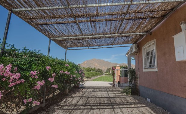 Resale - Country House - Orihuela - San Bartolome